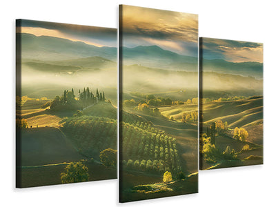canvas-print-pinewood