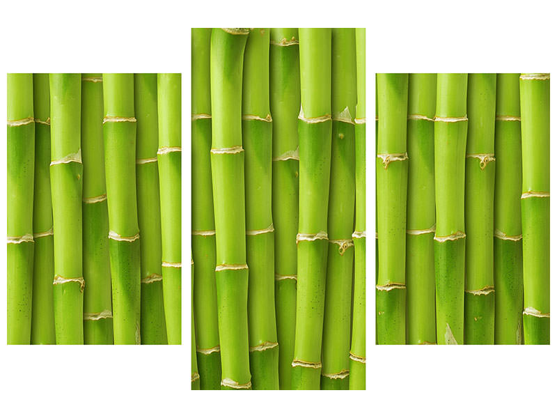 modern-3-piece-canvas-print-bamboo-wall