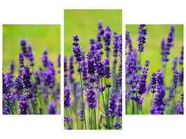 modern-3-piece-canvas-print-beautiful-lavender