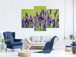 modern-3-piece-canvas-print-beautiful-lavender