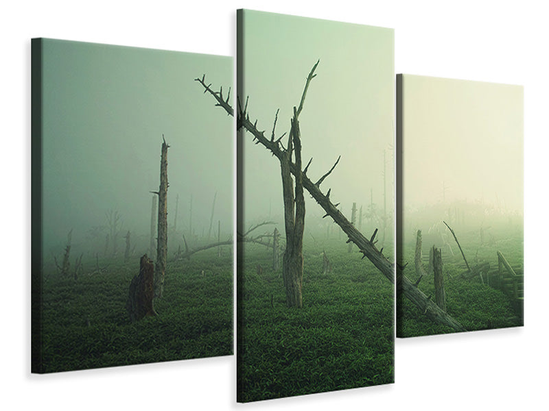 modern-3-piece-canvas-print-beautiful-rot