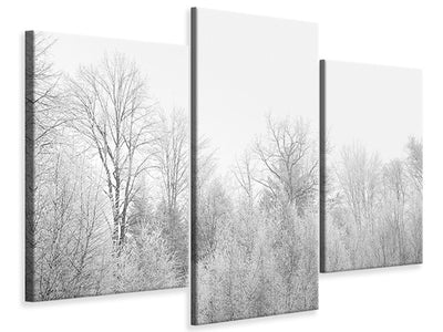 modern-3-piece-canvas-print-birches-in-the-snow