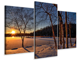 modern-3-piece-canvas-print-birches-in-the-sunset