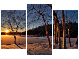 modern-3-piece-canvas-print-birches-in-the-sunset