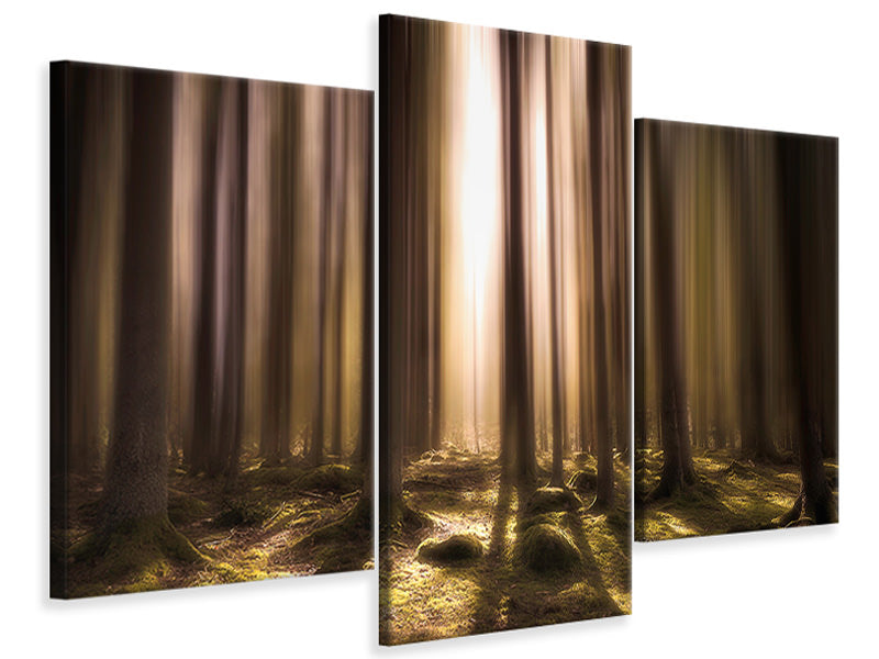 modern-3-piece-canvas-print-breath-of-life