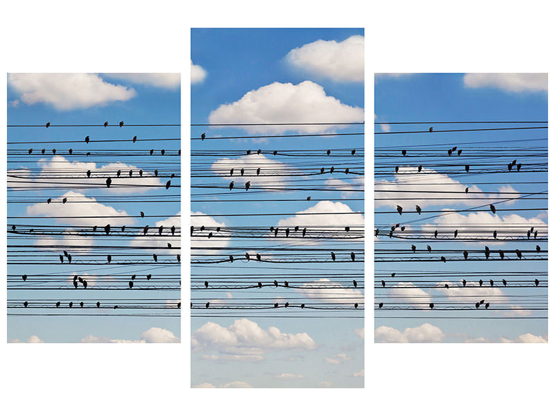 modern-3-piece-canvas-print-cantus-arcticus-concerto-for-birds