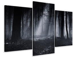 modern-3-piece-canvas-print-capela-forest