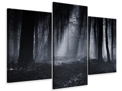 modern-3-piece-canvas-print-capela-forest