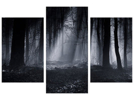 modern-3-piece-canvas-print-capela-forest
