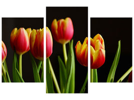 modern-3-piece-canvas-print-colorful-tulips