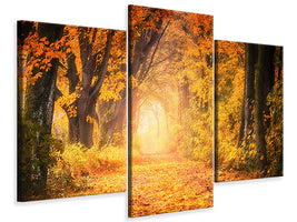 modern-3-piece-canvas-print-colors-magnificent-forest