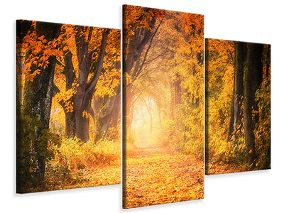 modern-3-piece-canvas-print-colors-magnificent-forest