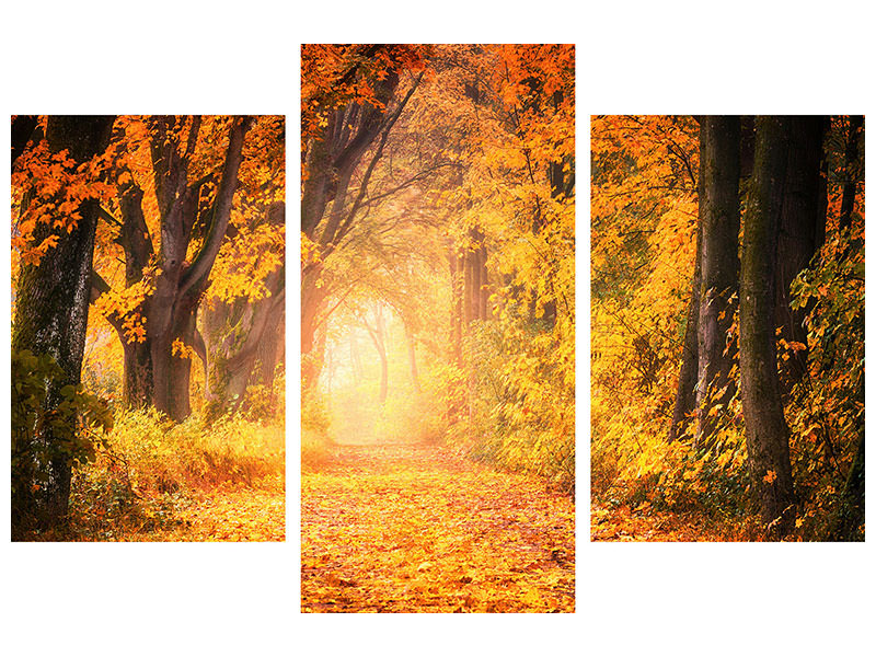 modern-3-piece-canvas-print-colors-magnificent-forest