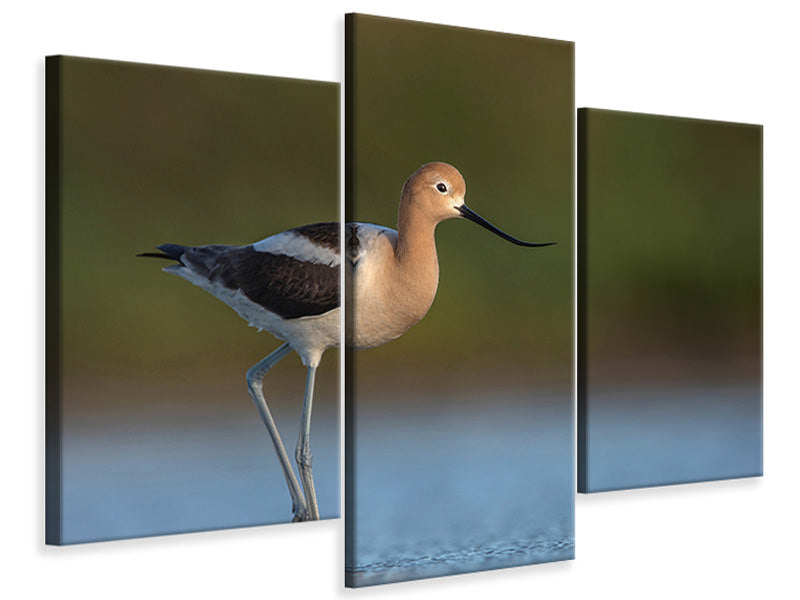 modern-3-piece-canvas-print-complementary-colors