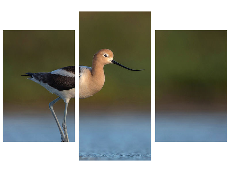 modern-3-piece-canvas-print-complementary-colors