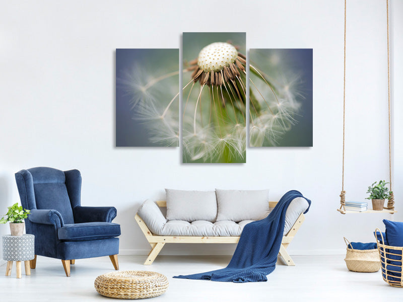 modern-3-piece-canvas-print-dandelion-close-up