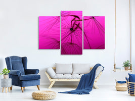 modern-3-piece-canvas-print-dandelion-in-pink