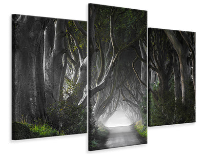modern-3-piece-canvas-print-dark-hedges