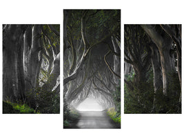 modern-3-piece-canvas-print-dark-hedges