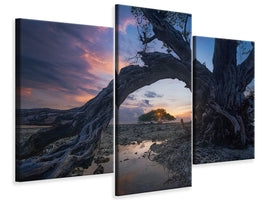 modern-3-piece-canvas-print-dry