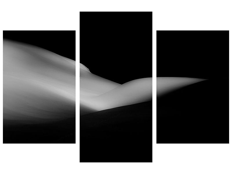 modern-3-piece-canvas-print-elephant-sleeping-a-white-dream