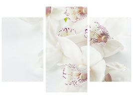 modern-3-piece-canvas-print-fantastic-orchids