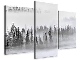 modern-3-piece-canvas-print-foggy-forest