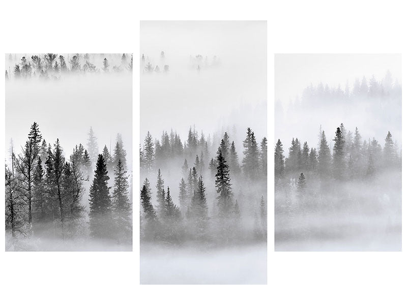 modern-3-piece-canvas-print-foggy-forest