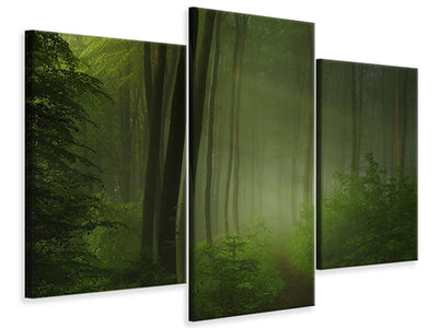 modern-3-piece-canvas-print-forest-morning