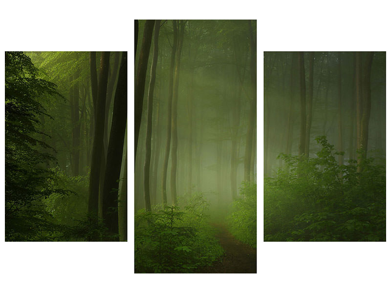 modern-3-piece-canvas-print-forest-morning