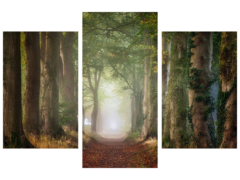 modern-3-piece-canvas-print-forward