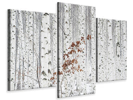 modern-3-piece-canvas-print-from-white