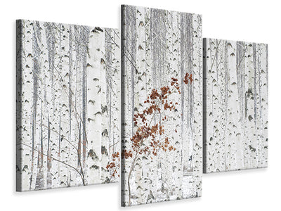 modern-3-piece-canvas-print-from-white