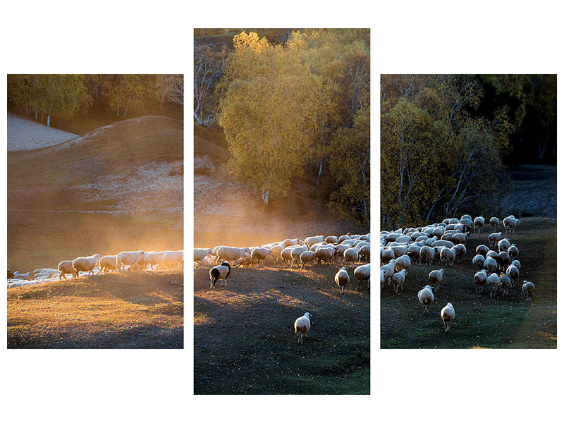 modern-3-piece-canvas-print-go-home