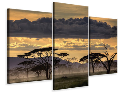 modern-3-piece-canvas-print-good-evening-tanazania