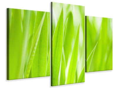 modern-3-piece-canvas-print-grass-xxl