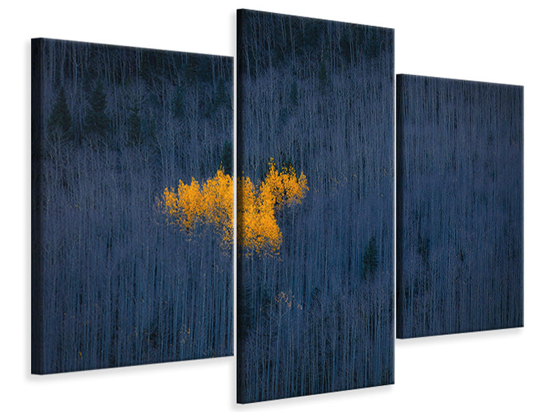modern-3-piece-canvas-print-heart-of-aspens
