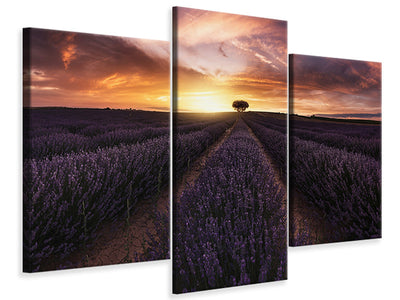 modern-3-piece-canvas-print-lavender-sunset