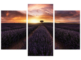 modern-3-piece-canvas-print-lavender-sunset