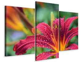 modern-3-piece-canvas-print-lily-flower-in-pink-xl