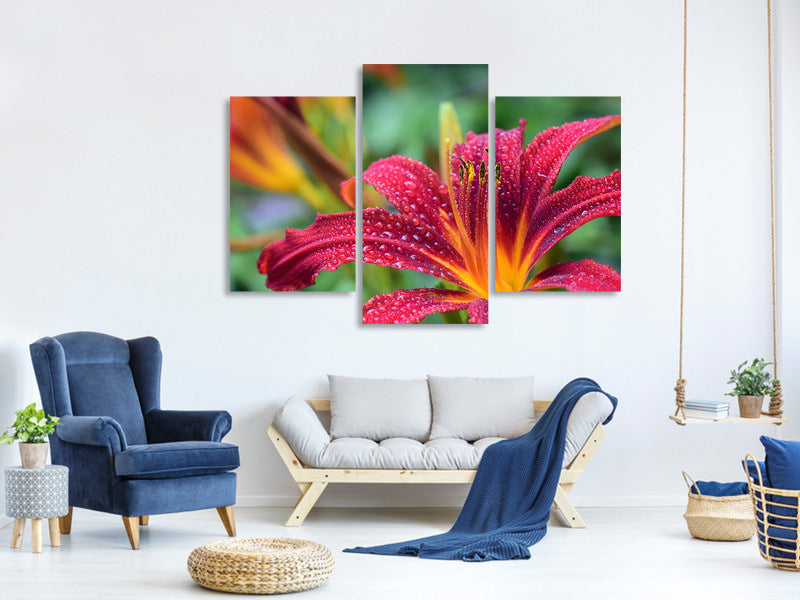 modern-3-piece-canvas-print-lily-flower-in-pink-xl