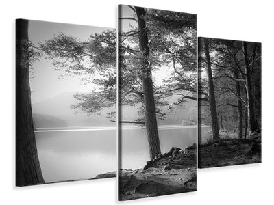 modern-3-piece-canvas-print-loch-an-eilein