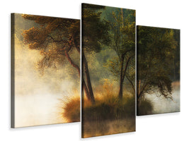 modern-3-piece-canvas-print-lonely-island
