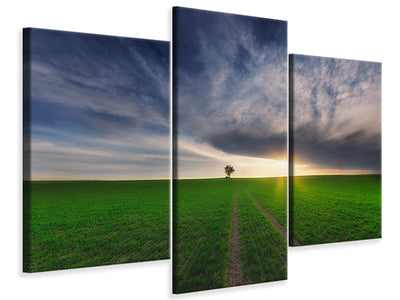 modern-3-piece-canvas-print-loner-in-the-sun
