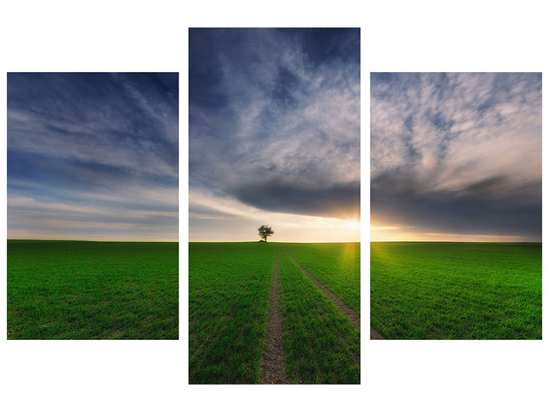 modern-3-piece-canvas-print-loner-in-the-sun