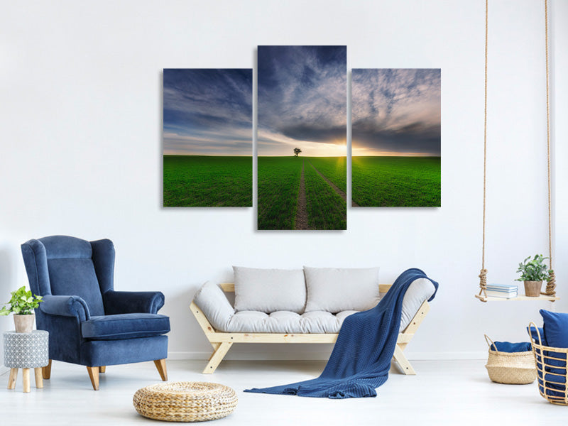 modern-3-piece-canvas-print-loner-in-the-sun