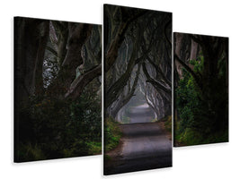 modern-3-piece-canvas-print-magic-road