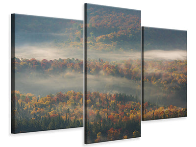 modern-3-piece-canvas-print-misty-morning-ii-a