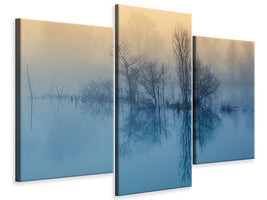 modern-3-piece-canvas-print-morning-reflection-ii