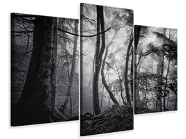 modern-3-piece-canvas-print-mysterious-light